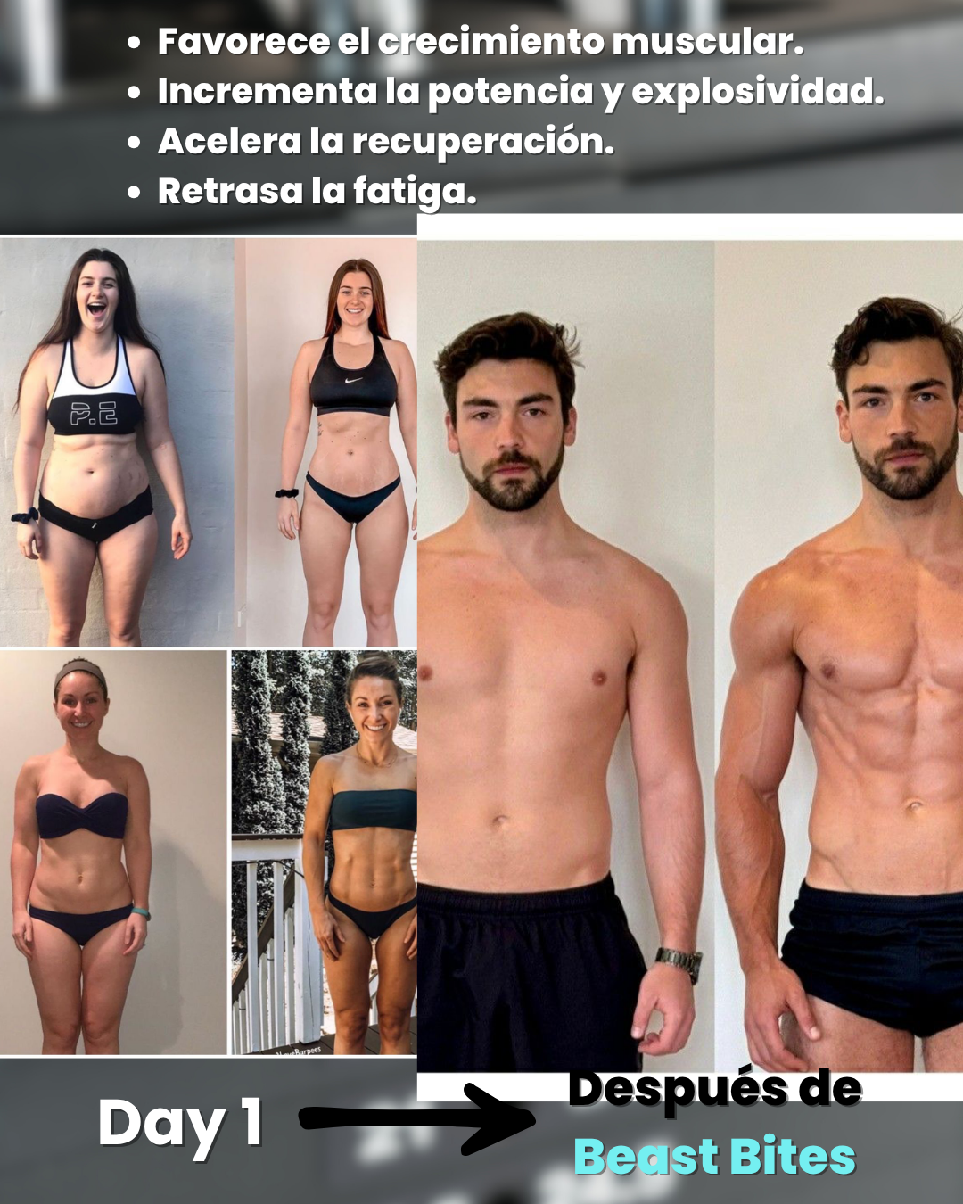 BEAST BITE GOMAS DE CREATINA